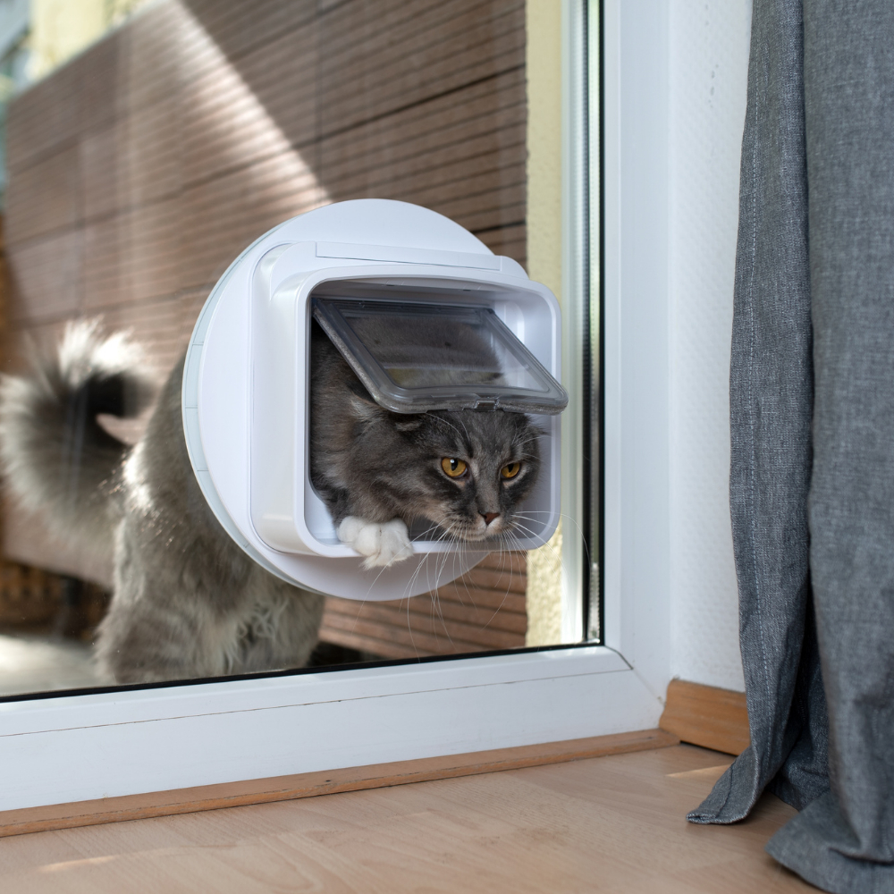 Diy microchip pet door hotsell